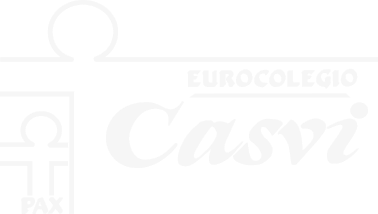Logo Casvi Intranet